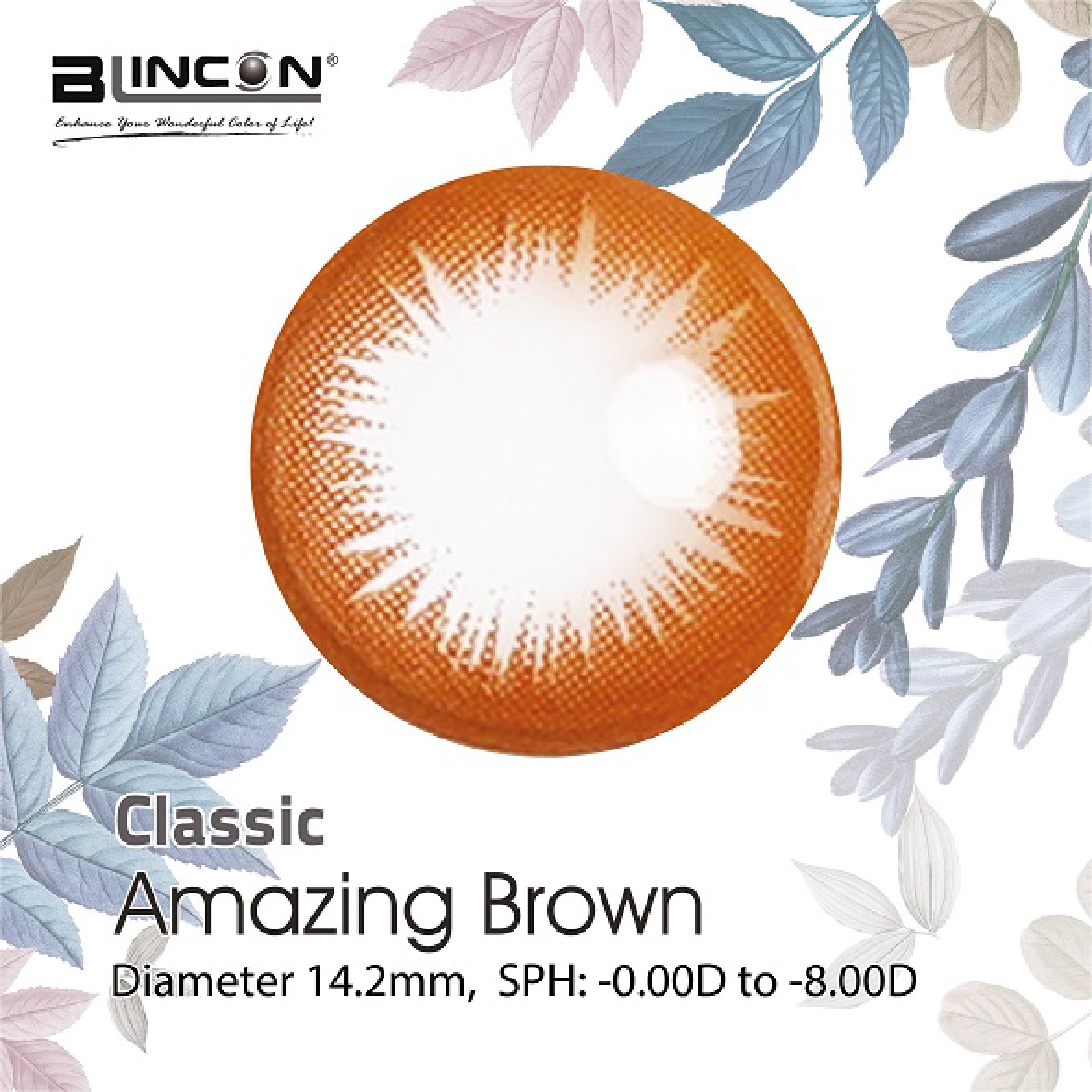 Blincon Classic Series (2 PCS)
