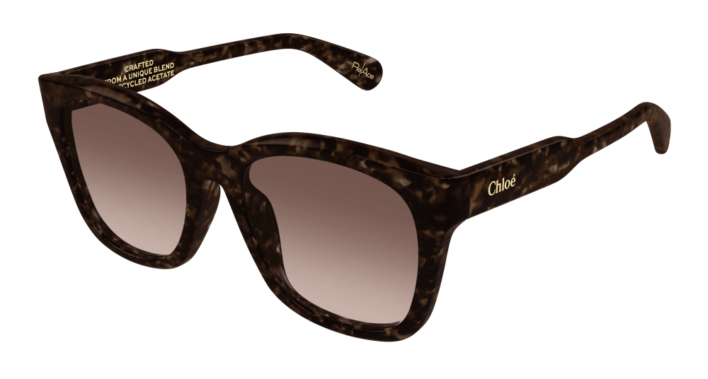 Chloé CH0194SK-002 <br> Rectangular / Squared Sunglasses