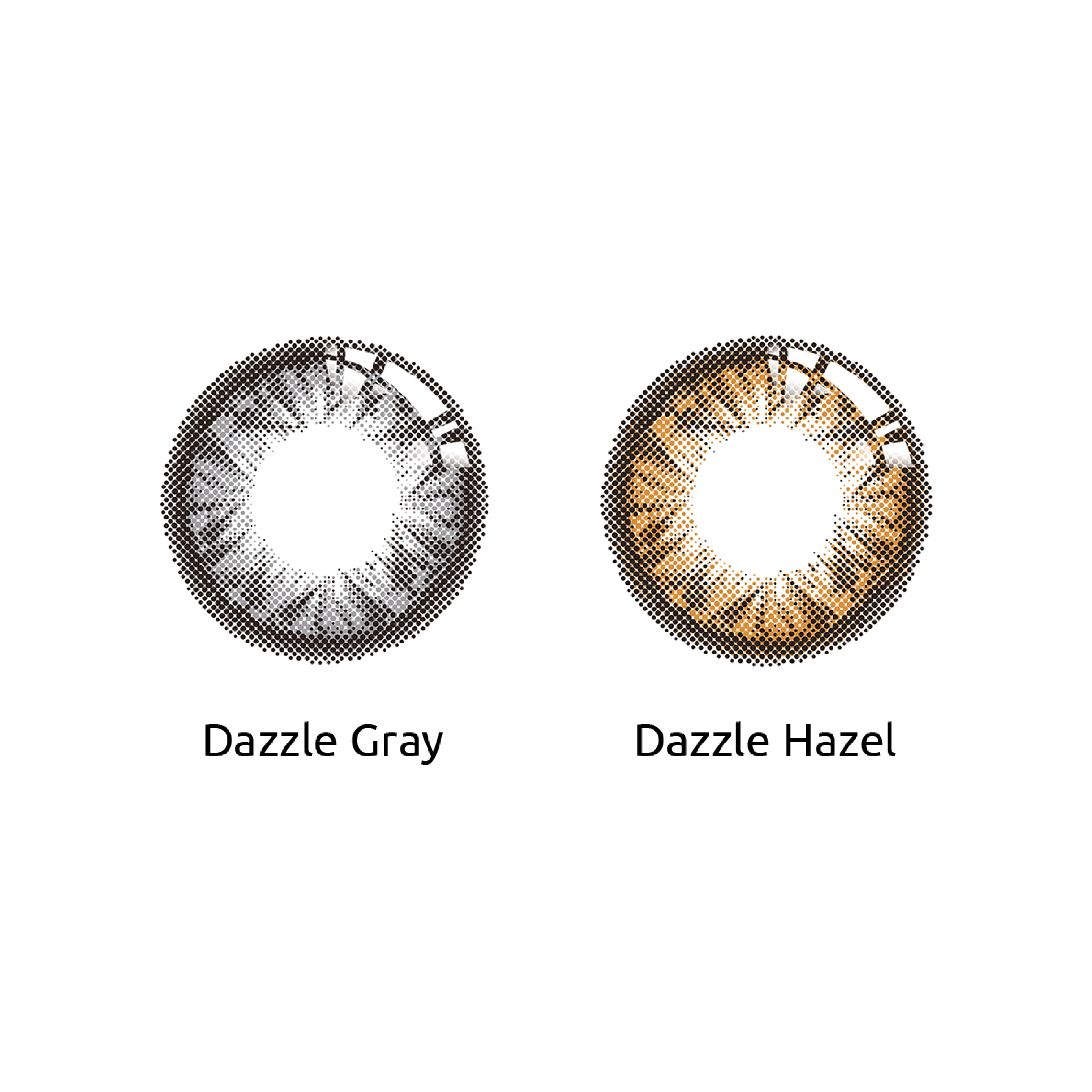 CONFiDENCE Dazzle Monthly (2 Pack)