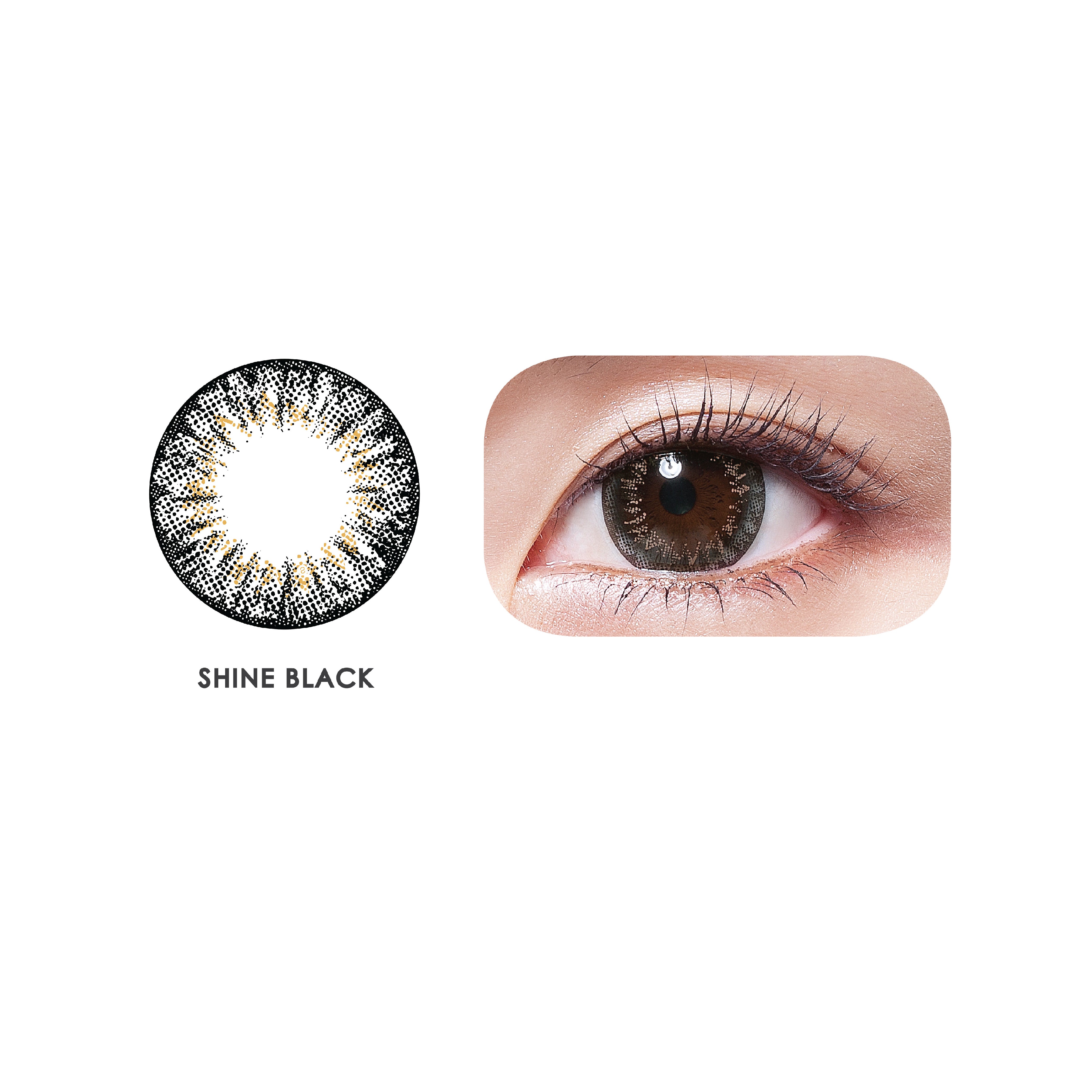 Horien Eye Secret 3 Months Color Lens (1 PCS)